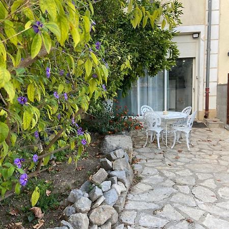 Le P'Tit Mandarinier Canet (Aude) Exterior foto